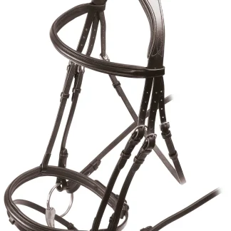 Velociti RAPIDA Padded Raised Flash Bridle Black