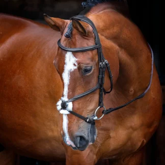 Velociti RAPIDA Grackle Bridle Black