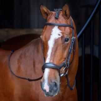 Velociti RAPIDA Ergonomic Flash Bridle Havana