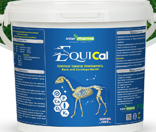 Equical