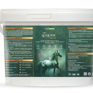 Equine Activia